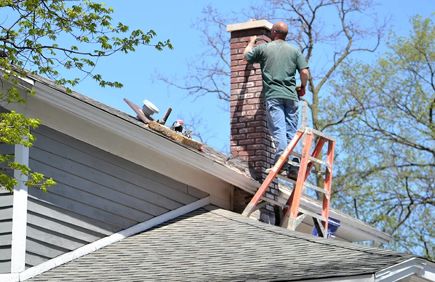 Chimney & Fireplace Inspections Services in Lake Jackson, TX